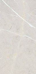 Керамическая плитка NT Ceramic Bright And Shiny BB612NTT9101 Серый Полированный Ректифицированный Керамогранит 60х120 см