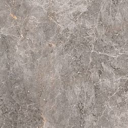 Porcelanosa Elegant Grey Pulido Керамогранит 120x120 см