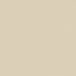 Керамика будущего(CF Systems) Моноколор CF 100 аворио Лаппатированная (LR) Керамогранит 60х60 см