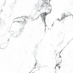 Керамическая плитка Arcadia Ceramica Anty Borghini Silver Серый Матовый Керамогранит 60x60 см