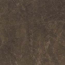Керамическая плитка Argenta Ceramica Acra Dark Shine Напольная плитка 60х60 см