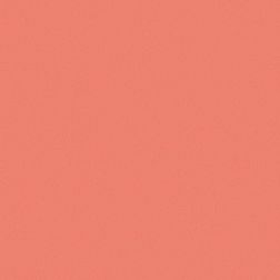 Ce.Si Matt Salmone Вставка 5х5 см