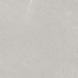 Laparet French Smoke Светло-серый Полированный Керамогранит 60x60 см