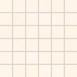 Rako Extra WDM05720 Мозаика 5x5 30х30 см