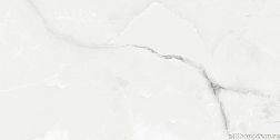 Керамическая плитка Absolut Gres Royal Grey Light Серый Полированный Керамогранит 60x120 см