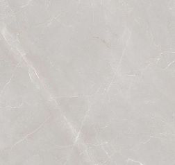 Керамическая плитка Granoland Керамогранит Natural Armani Light Grey Carving Серый Матовый 60x60 см