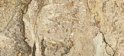 Керамическая плитка Zodiac Ceramica Shangri-La Коричневый Глянцевый Керамогранит 120x260 см