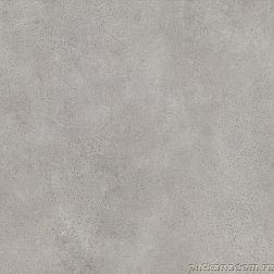 Paradyz Silkdust CPSILK0009 Керамогранит 59.8x59.8 см