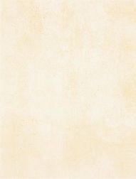 Rako Patina WATKB230 Light Beige Настенная плитка 25x33 см