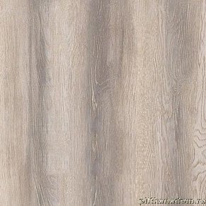 Kastamonu Sunfloor 8-33 с фаской 57 Вяз Квебек Ламинат 1380x159x8
